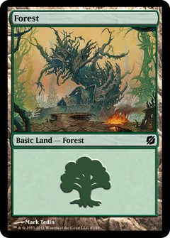 Forest (TD2-087) - Duel Decks: Mirrodin Pure vs. New Phyrexia-1