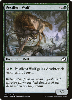 Pestilent Wolf [Innistrad: Midnight Hunt]-1