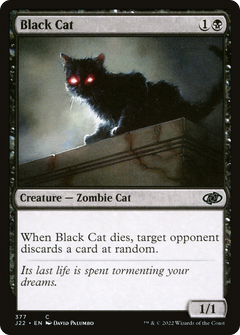 Black Cat [Jumpstart 2022]-1