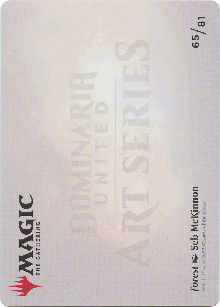 Forest // Forest (ADMU-065) - Dominaria United Art Series (Borderless)-2