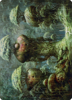 Forest // Forest (ADMU-065) - Dominaria United Art Series (Borderless)-1