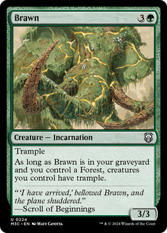 Brawn [Modern Horizons 3 Commander]-1