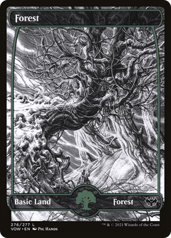 Forest (276) [Innistrad: Crimson Vow]-1
