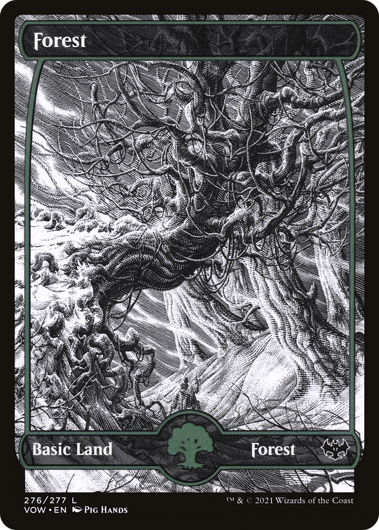Forest (276) [Innistrad: Crimson Vow]-1