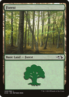 Forest (29) (Elves vs. Goblins) [Duel Decks Anthology]-1