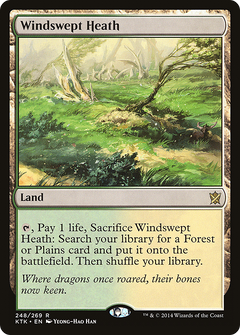 Windswept Heath (KTK-248) - Khans of Tarkir-1