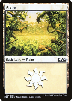 Plains (262) [Core Set 2020]-1
