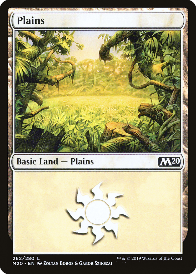 Plains (262) [Core Set 2020]-1