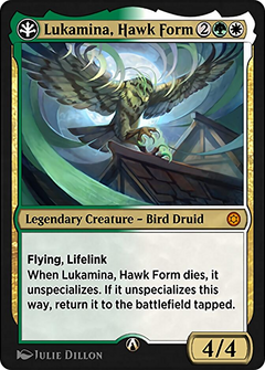 Lukamina, Hawk Form (HBG-17W) - Alchemy Horizons: Baldur's Gate-1