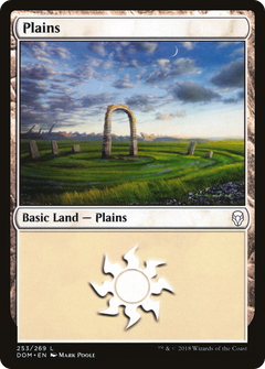 Plains (253) [Dominaria]-1