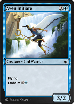 Aven Initiate (AKR-050) - Amonkhet Remastered-1