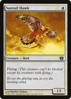 Suntail Hawk [Eighth Edition]-1