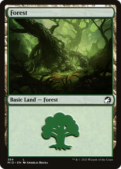 Forest (384) [Innistrad: Midnight Hunt]-1