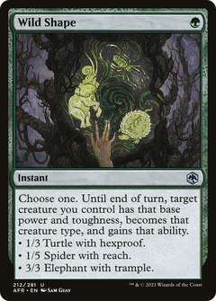 Wild Shape (AFR-212) - Adventures in the Forgotten Realms-1