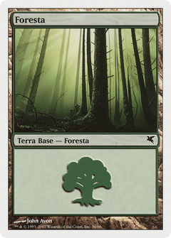 Forest (Italian) - "Foresta" (L36) (PSAL-L36) - Salvat 2005-1
