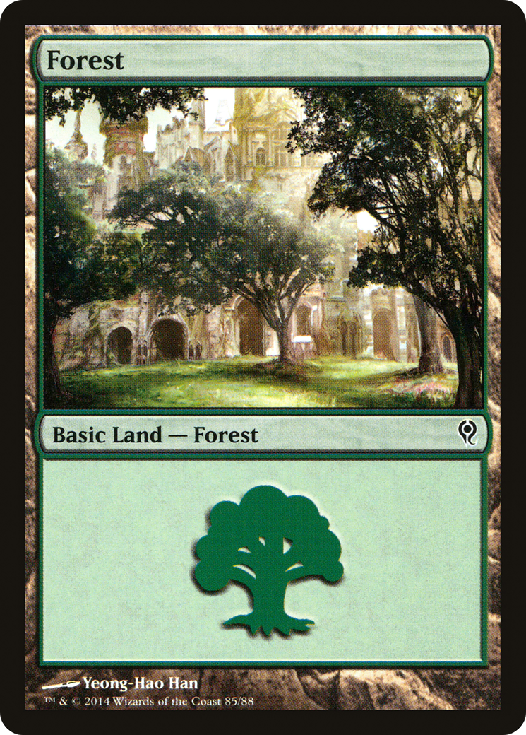 Forest (85) [Duel Decks: Jace vs. Vraska]-1