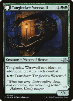 Tangleclaw Werewolf // Fibrous Entangler [Eldritch Moon]-3