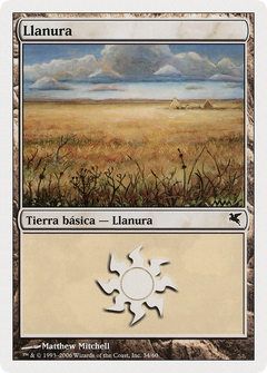 Plains (Spanish) - "Llanura" (G34) (PSAL-G34) - Salvat 2005-1