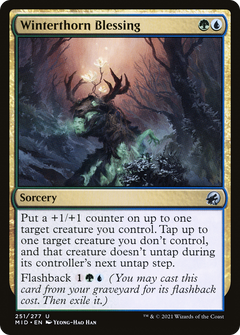 Winterthorn Blessing (MID-251) - Innistrad: Midnight Hunt-1