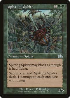 Spitting Spider [Prophecy]-1