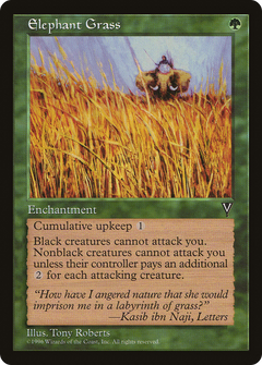 Elephant Grass [Visions]-1