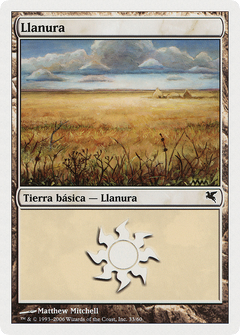 Plains (Spanish) - "Llanura" (C33) (PSAL-C33) - Salvat 2005-1