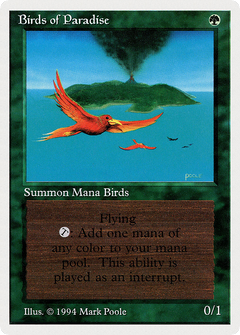 Birds of Paradise [Summer Magic / Edgar]-1
