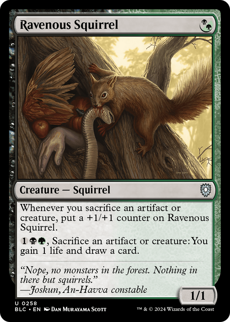 Ravenous Squirrel [Bloomburrow Commander]-1