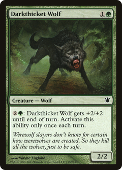 Darkthicket Wolf [Innistrad]-1