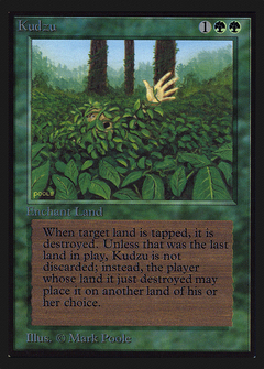 Kudzu (IE) (IED-) - Intl. Collectors' Edition-1