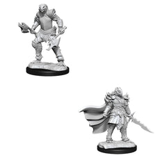 D&D Nolzurs Marvelous Unpainted Miniatures Dragonborn Fighter Female