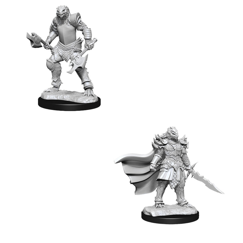 D&D Nolzurs Marvelous Unpainted Miniatures Dragonborn Fighter Female