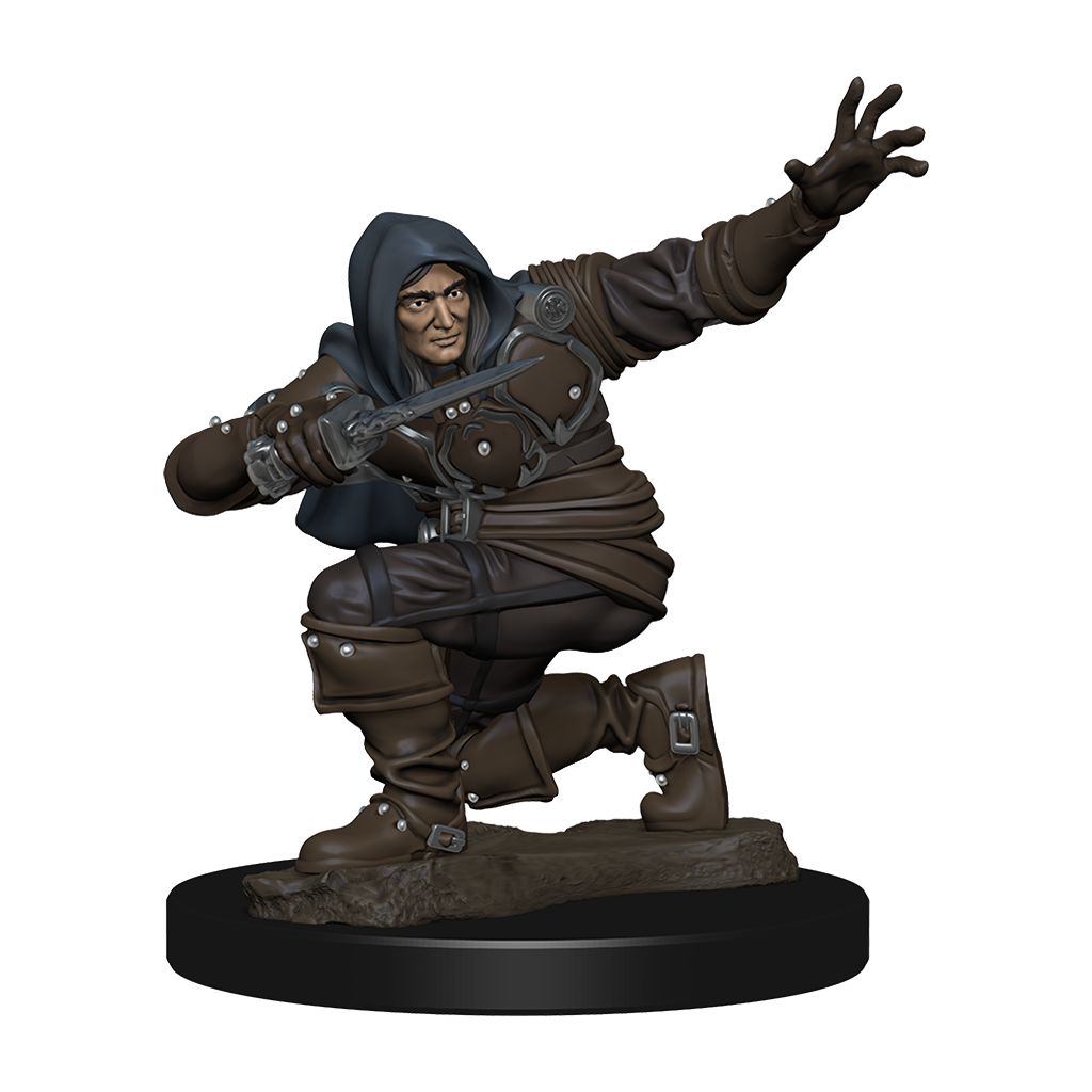 Pathfinder Battles Premium Painted Figure Human Rogue Male-1