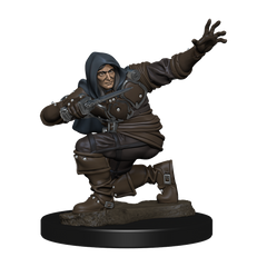 Pathfinder Battles Premium Painted Figure Human Rogue Male-1