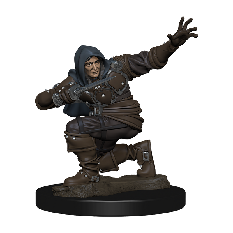 Pathfinder Battles Premium Painted Figure Human Rogue Male-1