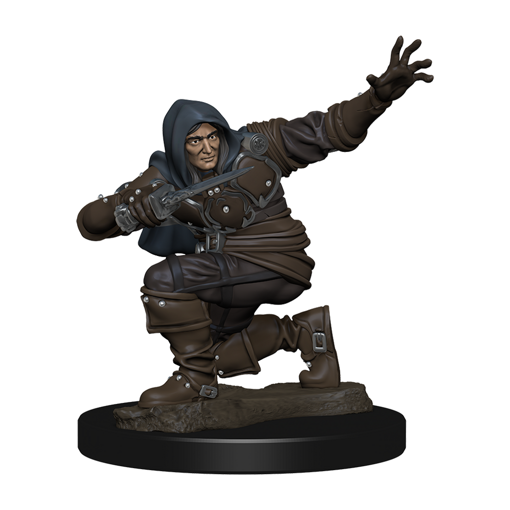 Pathfinder Battles Premium Painted Figure Human Rogue Male