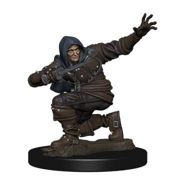 Pathfinder Battles Premium Painted Figure Human Rogue Male