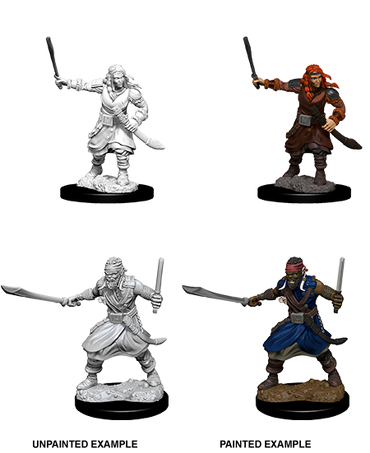 D&D Nolzurs Marvelous Unpainted Miniatures Bandits