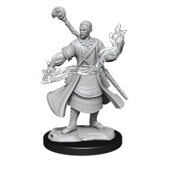 D&D Nolzurs Marvelous Unpainted Miniatures Half-Elf Wizard Male-1