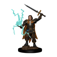 Pathfinder Battles Premium Painted Figure Human Cleric Male-1