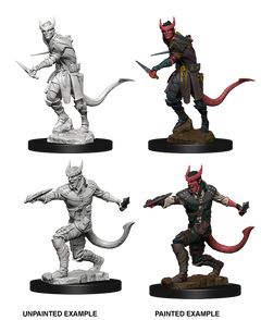 D&D Nolzurs Marvelous Unpainted Miniatures Tiefling Male Rogue-1