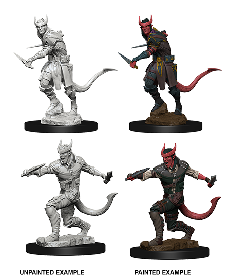 D&D Nolzurs Marvelous Unpainted Miniatures Tiefling Male Rogue