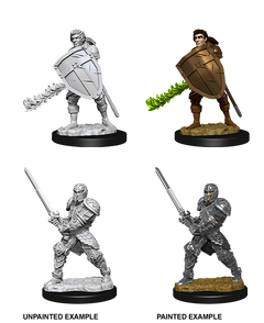 D&D Nolzurs Marvelous Unpainted Miniatures Male Human Fighter-1