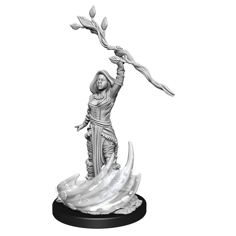 D&D Nolzurs Marvelous Unpainted Miniatures Human Druid Female-1