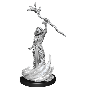 D&D Nolzurs Marvelous Unpainted Miniatures Human Druid Female