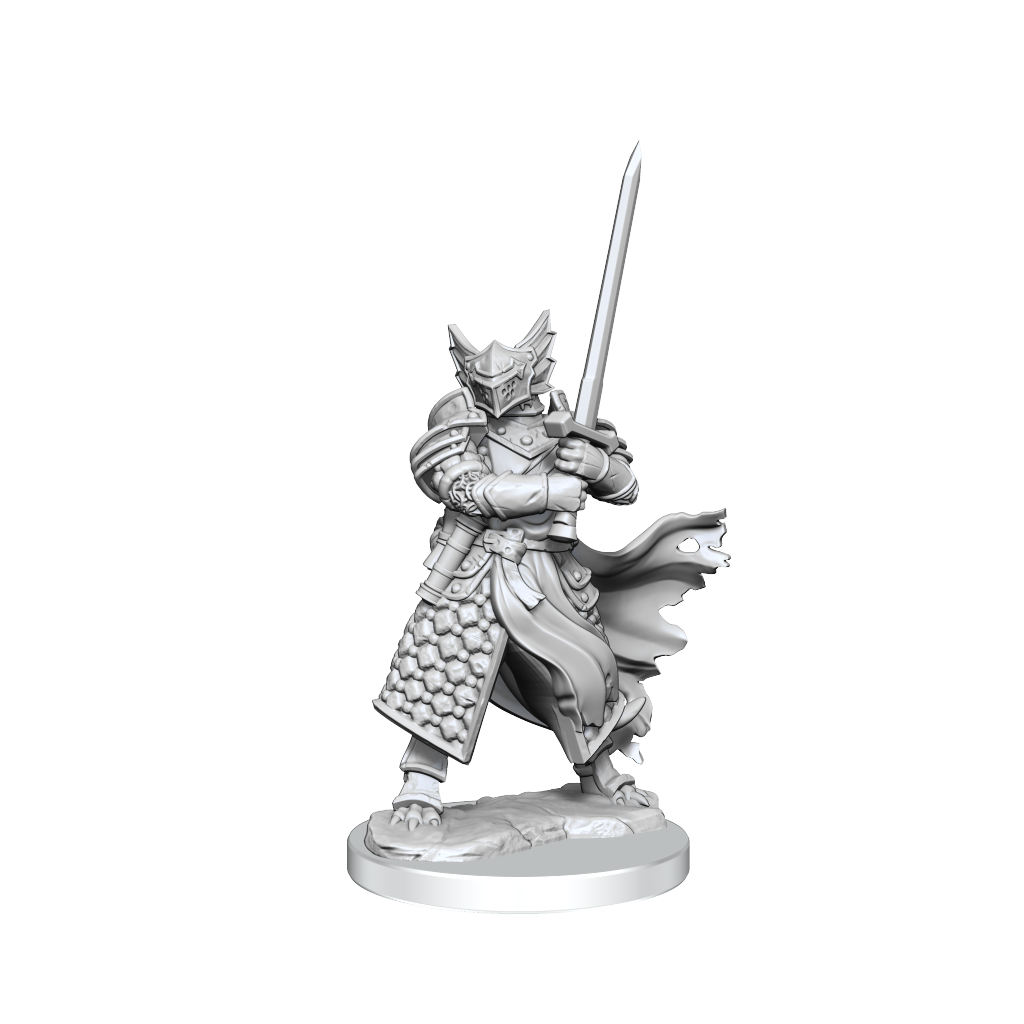 D&D Frameworks Dragonborn Paladin Male-1