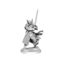 D&D Frameworks Dragonborn Paladin Male-1