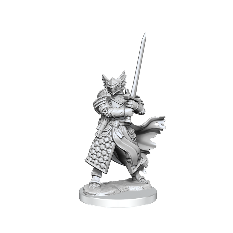 D&D Frameworks Dragonborn Paladin Male-1