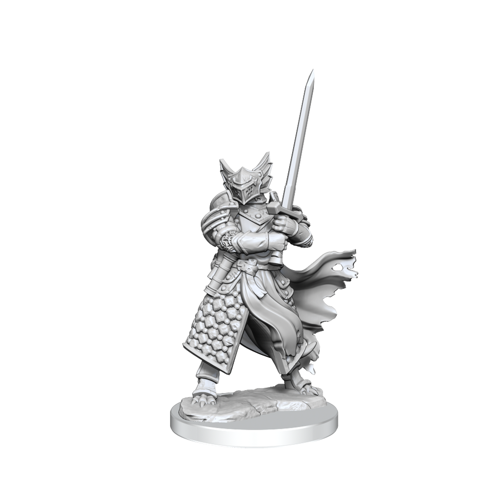 D&D Frameworks Dragonborn Paladin Male