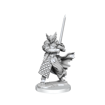 D&D Frameworks Dragonborn Paladin Male